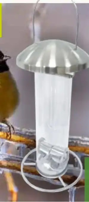 Pflanzen Kölle Kölle Futtersäule Bonnie Angebot