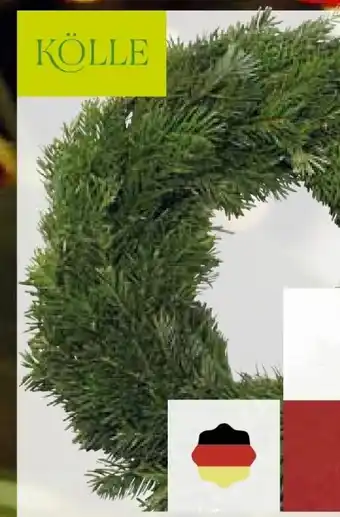Pflanzen Kölle Kölle Nordmannkranz Angebot