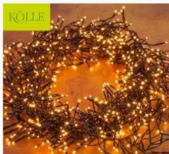 Pflanzen Kölle Kölle LED Gruppenbeleuchtung Angebot