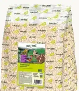 Pflanzen Kölle Kölle's Beste Erdnüsse Angebot