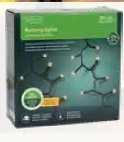 Pflanzen Kölle LED Batterielichterkette Angebot