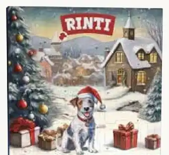 Pflanzen Kölle Rinti Adventskalender Angebot