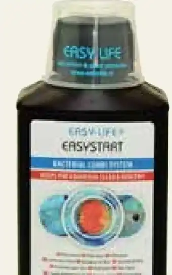 Pflanzen Kölle Easy Life Easystart Filterstarter Angebot