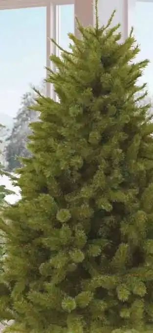 Pflanzen Kölle Kunst-Tanne Forest Frosted Pine Angebot