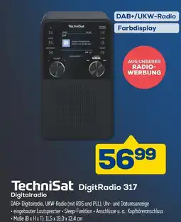 Euronics Technisat digitradio 317 Angebot