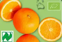 Aldi Nord Bio Smiley Orangen Angebot