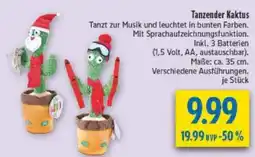 diska Tanzender Kaktus Angebot