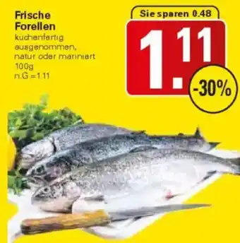 WEZ Frische Forellen Angebot
