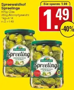 WEZ Spreewaldhof Spreelinge Angebot