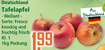 Klaas und Kock Tafelapfel - Wellant - Angebot