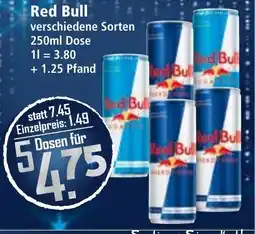 Klaas und Kock Red Bull Angebot