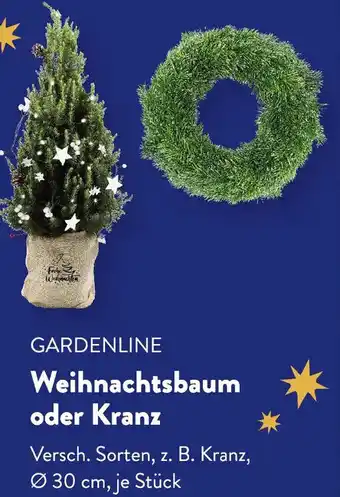 Aldi Süd GARDENLINE Weihnachtsbaum oder Kranz Angebot