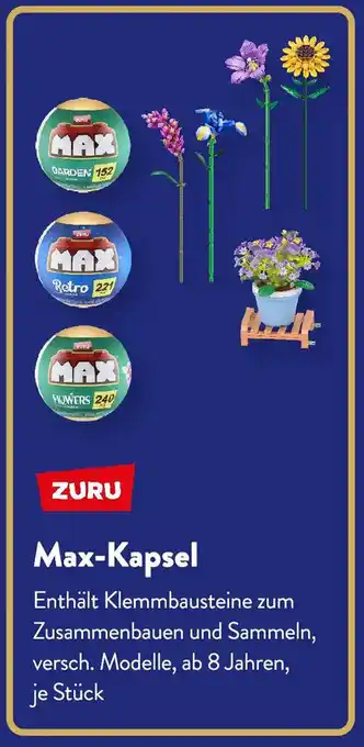 Aldi Süd ZURU Max-Kapsel Angebot