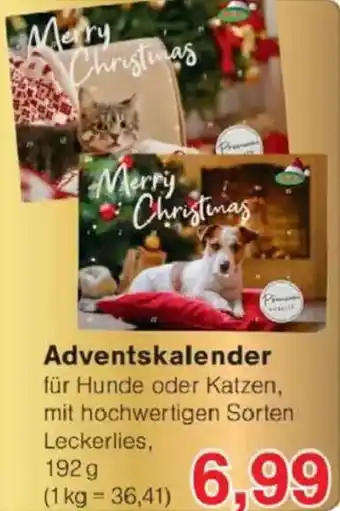 Jawoll Adventskalender Angebot