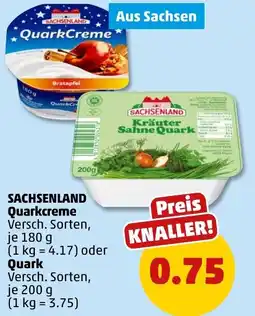 PENNY SACHSENLAND Quarkcreme oder Quark Angebot