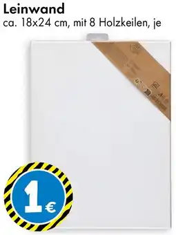 TEDi Leinwand Angebot