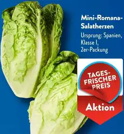 Aldi Süd Mini-Romana Salatherzen Angebot