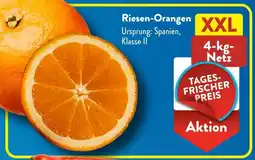 Aldi Süd Riesen-Orangen XXL Angebot
