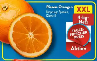 Aldi Süd Riesen-Orangen XXL Angebot