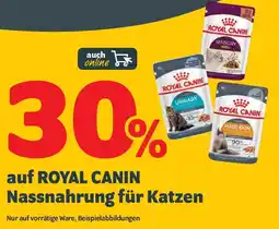 Das Futterhaus 30% auf ROYAL CANIN Nassnahrung für Katzen Angebot