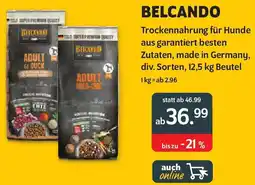 Das Futterhaus BELCANDO Trockennahrung für Hunde Angebot