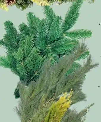 Thomas Philipps Handbunde Angebot