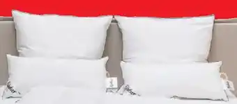 Lidl Fjödur 3-Kammer-Kopfkissen Angebot