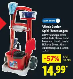 Lidl Vileda Junior Spiel-Besenwagen Angebot