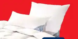 Lidl Häussling Premium Kopfkissen Angebot