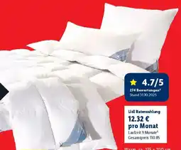 Lidl Häussling Daunen-Kassettenbettdecke Angebot