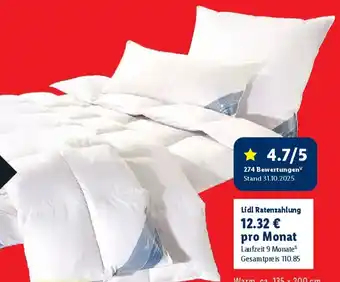 Lidl Häussling Daunen-Kassettenbettdecke Angebot
