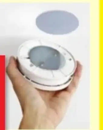 Thomas Philipps Universal Magnethalterung Angebot