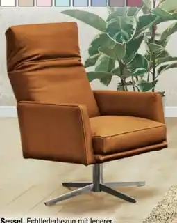 Ostermann Koinor Sessel Angebot