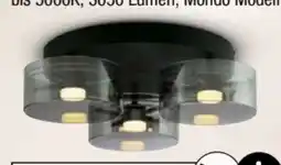 Ostermann Mondo Deckenleuchte Karena Angebot