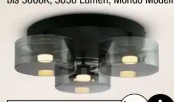 Ostermann Mondo Deckenleuchte Karena Angebot