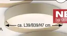 Ostermann Schöner Wohnen Deckenleuchte Angebot