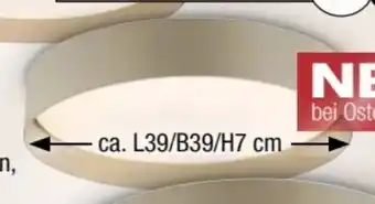 Ostermann Schöner Wohnen Deckenleuchte Angebot