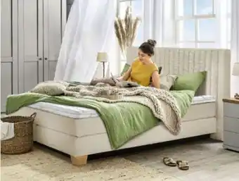 Ostermann Sansibar Boxspringbett Billund Angebot