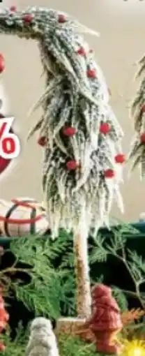 Ostermann Tannenbaum Angebot
