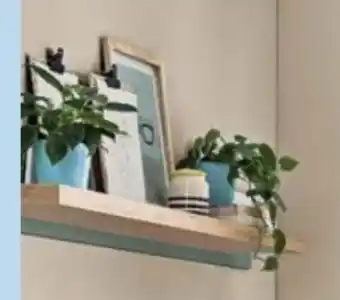 Trends Möbel Wandboard Despina Angebot