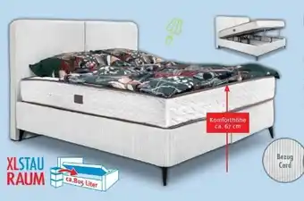 Trends Möbel Boxbett Sook Angebot