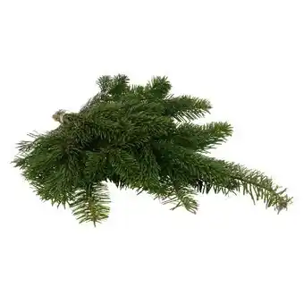 toom Baumarkt Tannengrün Handbund Angebot