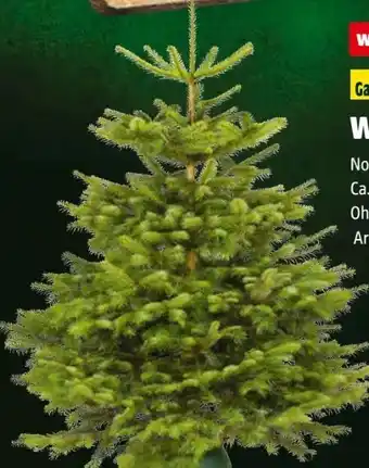 Hagebau Weihnachtsbaum Angebot