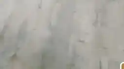 Hagebau Designboden Rigid Angebot