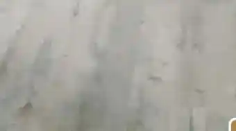 Hagebau Designboden Rigid Angebot