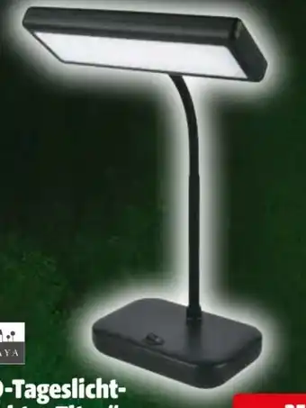 Hagebau Casaya LED-Tageslichtleuchte Titus Angebot