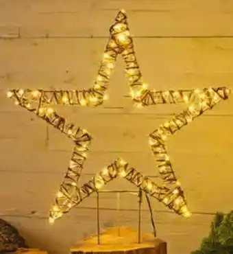 Hagebau Gartenstecker Stern Angebot