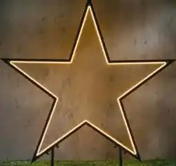 Hagebau Gartenstecker Neon Angebot