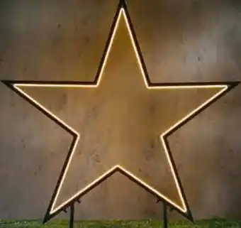 Hagebau Gartenstecker Neon Angebot