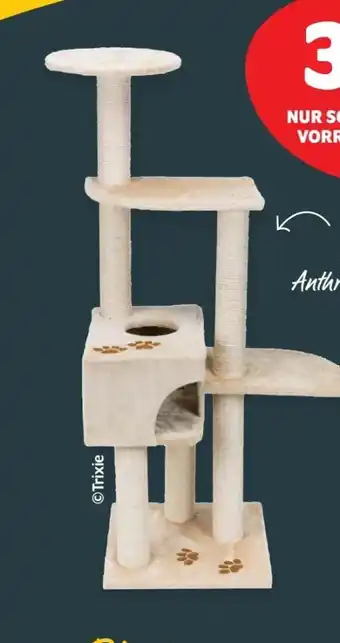Das Futterhaus Trixie Kratzbaum Alicante Angebot